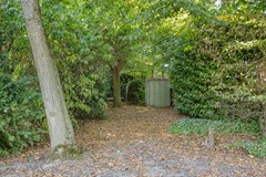 Hoogstraat146644BTEwijkNL-60.jpg