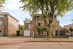 Wolfsbossingel1116642CMBeuningenGld-01.jpg