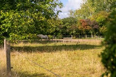 Ewijkseweg 4, Overasselt_49.jpg