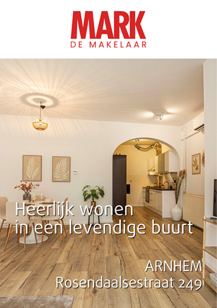 Brochure preview - Rosendaalsestraat 249, 6824 CG ARNHEM (1)