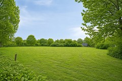 Heuvepark2.jpg