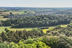 Stollenbergweg_76_Berg_en_Dal_33.jpg