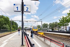 Zomertaling_47a_Wijchen_34.jpg