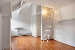 Vizier 3_Beuningen Gld_26.jpg