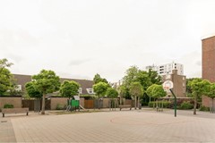 Rented: Kritostraat, 3076 BH Rotterdam