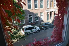 Rented: Sneeuwbalstraat, 2565 WB The Hague