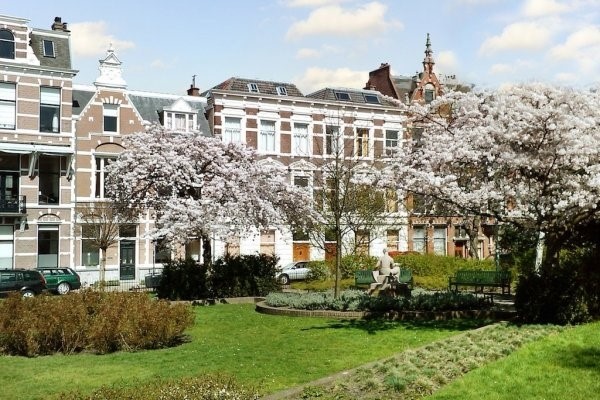 Medium property photo - Sweelinckplein, 2517 GK Den Haag