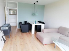 Rented: Bosboom-Toussaintplein, 2624 DG Delft