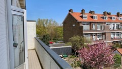 For rent: Lobelialaan, 2555 PE The Hague