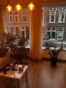 Rented: Antonie Duyckstraat, 2582 TK The Hague