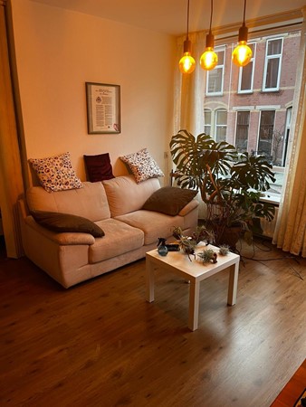 Medium property photo - Antonie Duyckstraat, 2582 TK Den Haag