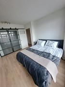 For rent: Hollanderstraat, 2517 HH The Hague