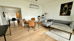 For rent: Van Hogenhoucklaan, 2596 TA The Hague