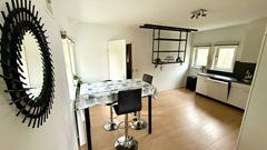 For rent: Van Hogenhoucklaan, 2596 TA The Hague