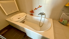 New for rent: Copernicuslaan, 2561 VA The Hague