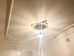 New for rent: Van Bylandtstraat, 2562 GG The Hague