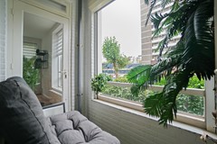 DSC07942.jpg