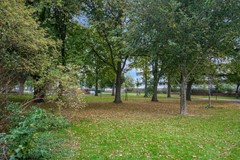 DSC07951.jpg