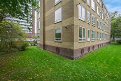 DSC07953.jpg