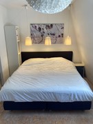 New for rent: Hamerstraat, 2512 CX The Hague