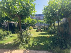 New for rent: Hamerstraat, 2512 CX The Hague