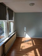 New for rent: Jasmijnstraat, 2563 RT The Hague