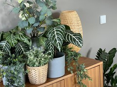 New for rent: Anna van Buerenplein, 2595 DE The Hague