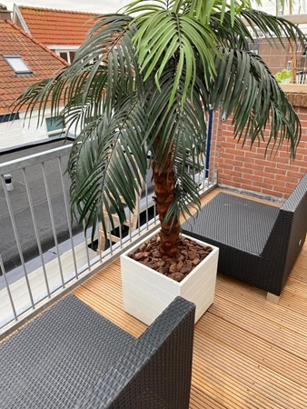 Medium property photo - Marcelisstraat, 2586 RT Den Haag