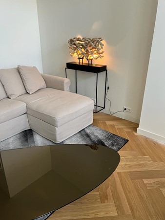 Medium property photo - Koningin Emmakade, 2518 RN Den Haag