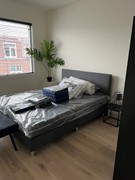 New for rent: Hendrik Zwaardecroonstraat, 2593 XW The Hague