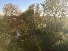 New for rent: Gerrit van der Veenlaan, 2552 WL The Hague