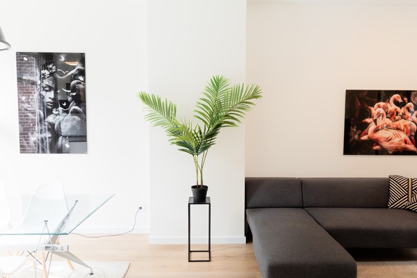 Medium property photo - Frans Bekkerstraat 42A, 3082 TT Rotterdam