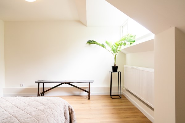 Medium property photo - Frans Bekkerstraat 42A, 3082 TT Rotterdam