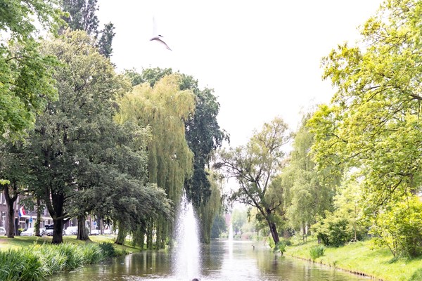 Medium property photo - Frans Bekkerstraat 42A, 3082 TT Rotterdam
