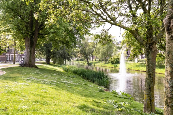 Medium property photo - Frans Bekkerstraat 42A, 3082 TT Rotterdam
