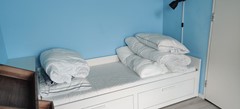 IMG_20230811_162542.jpg