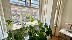 New for rent: Vondelstraat, 2513 EP The Hague