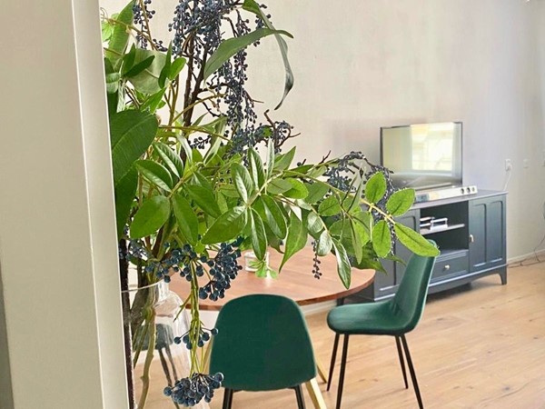 Medium property photo - Mallemolen, 2585 XG The Hague