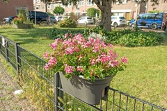 56-Linnaeusstraat 61 - Den Haag.jpg