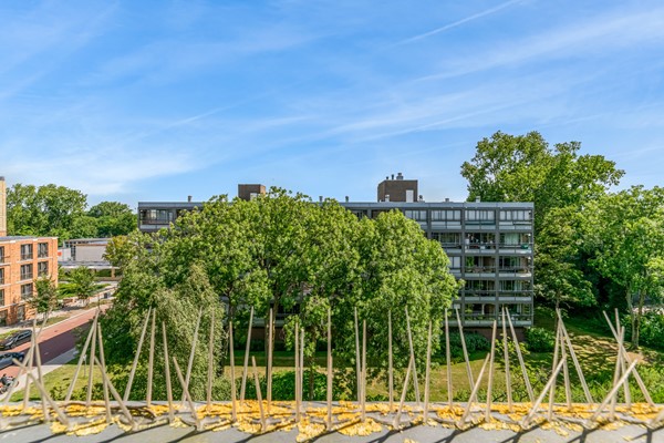 Medium property photo - Boerhaavelaan 197, 2334 EJ Leiden