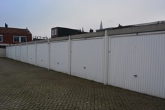 DSC_0246.JPG