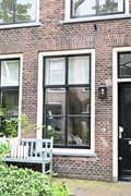 DSC_0232.jpg