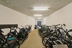 Ter Lips 17 - 28.jpg