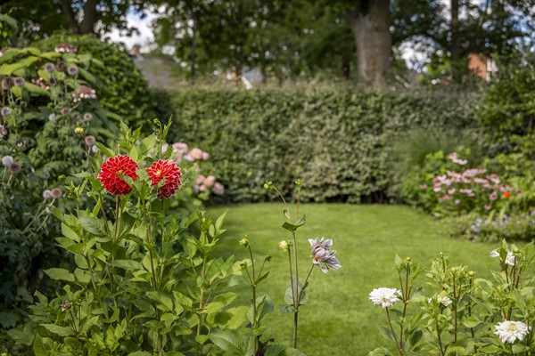 Medium property photo - Adriaen De Vrieslaan 9, 7425 NR Deventer
