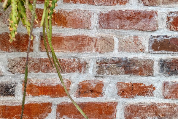 Medium property photo - Veenweg 64, 7416 BD Deventer