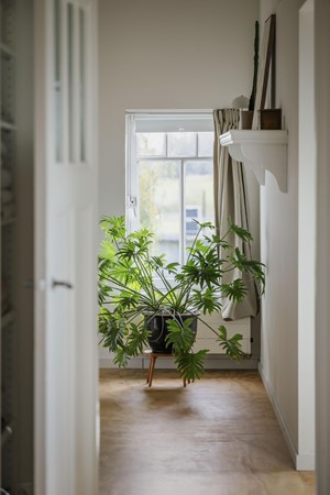 Medium property photo - Bandijk 20, 7396 NB Terwolde