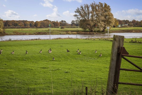 Medium property photo - Bandijk 20, 7396 NB Terwolde