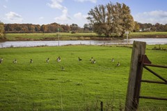 Nieuw in verkoop: Bandijk 20, 7396 NB Terwolde