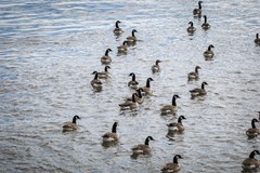 Nieuw in verkoop: Bandijk 20, 7396 NB Terwolde