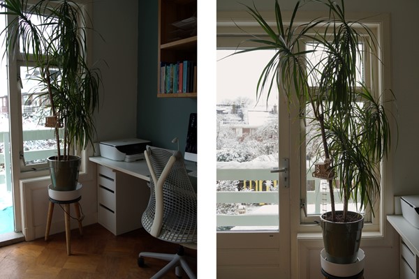 Medium property photo - J.A. Reinckenstraat 9, 7412 DT Deventer